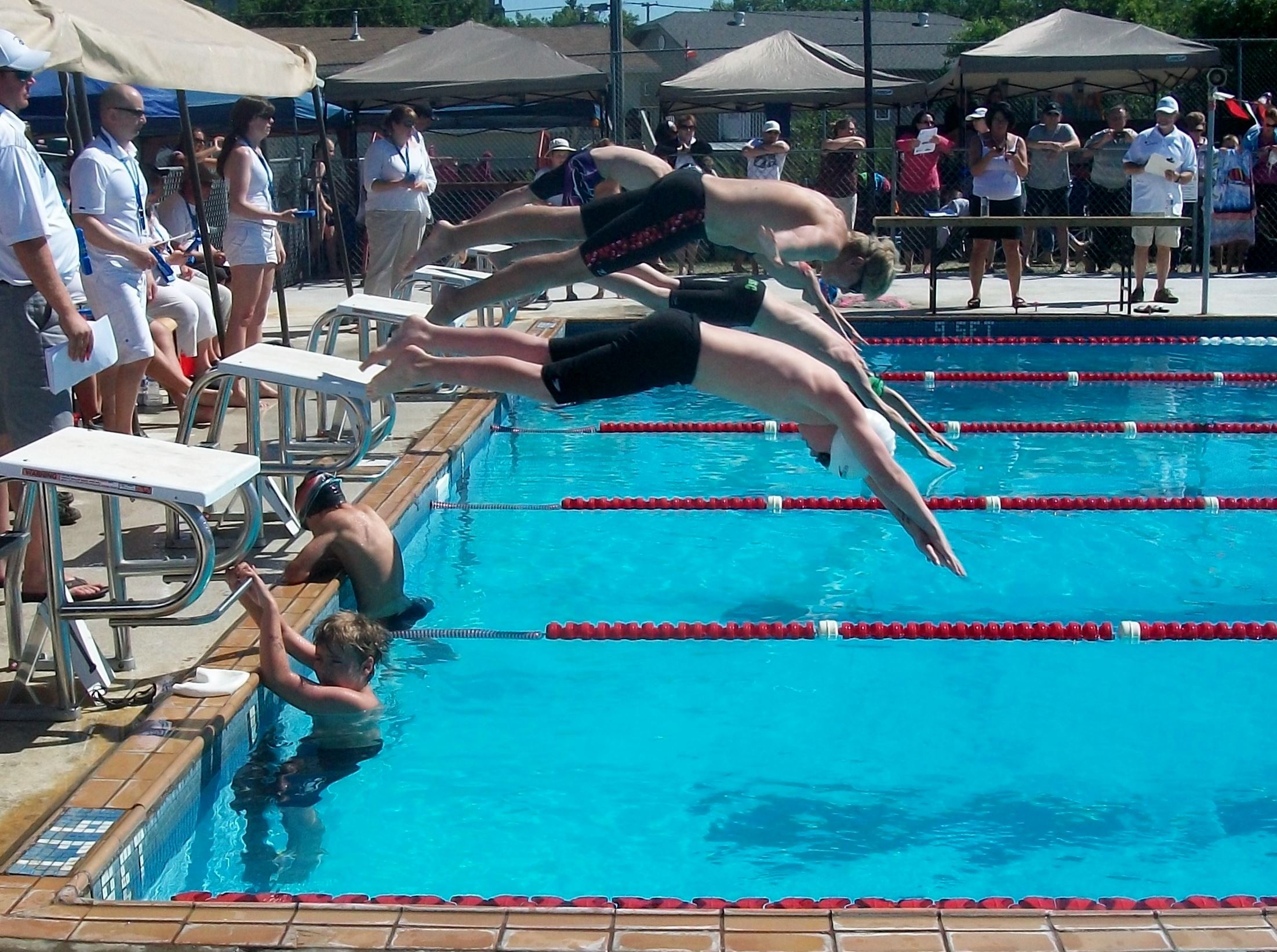 Athletes diving in the pool