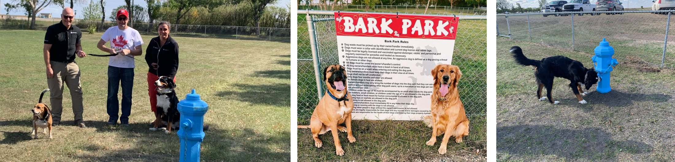 Bark Park 1