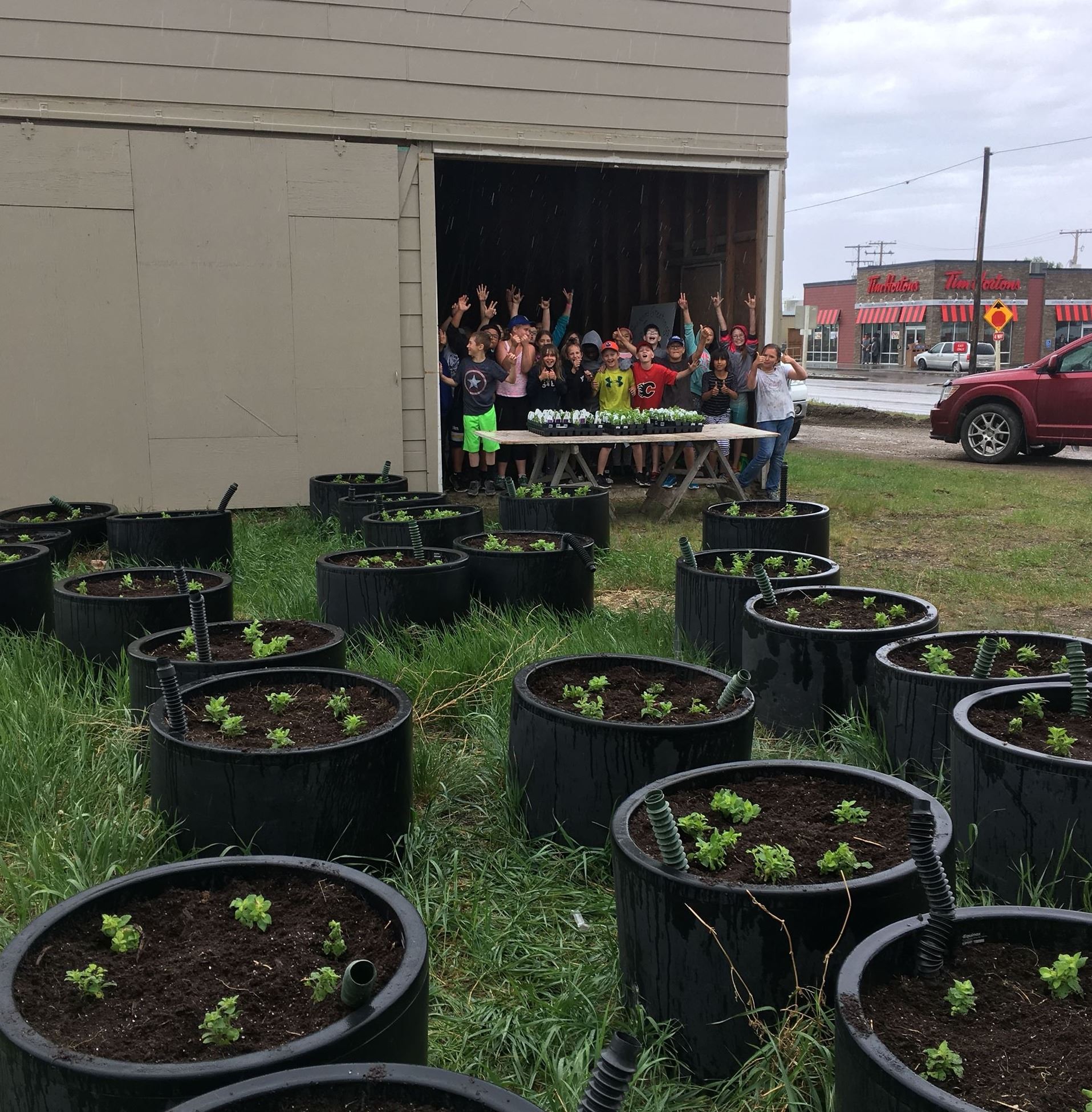 Image of WAS students planting