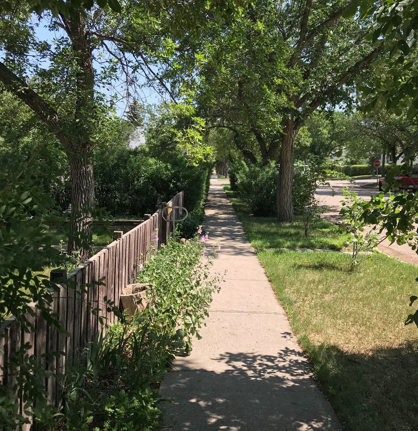 Image of residential street
