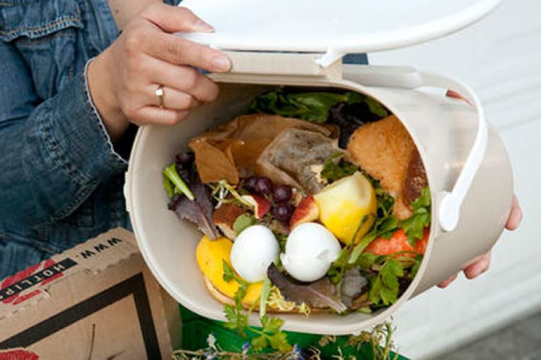 Image of organic/compost waste